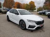 Skoda Octavia RS bei Reisemobile.expert - Abbildung (3 / 15) Skoda Octavia RS bei Reisemobile.expert - Abbildung (3 / 15)