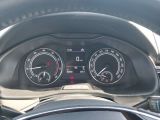 Skoda Kamiq bei Reisemobile.expert - Abbildung (12 / 15)