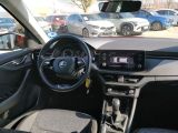 Skoda Kamiq bei Reisemobile.expert - Abbildung (11 / 15)