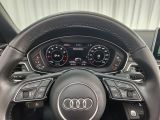 Audi A5 Cabriolet bei Reisemobile.expert - Abbildung (11 / 15)