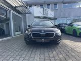 Skoda Octavia bei Reisemobile.expert - Abbildung (2 / 15)