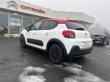 Citroen C3 bei Reisemobile.expert - Abbildung (3 / 9)