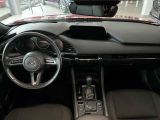 Mazda 3 bei Reisemobile.expert - Abbildung (8 / 15) Mazda 3 bei Reisemobile.expert - Abbildung (8 / 15)