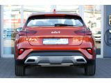 Kia XCeed bei Reisemobile.expert - Abbildung (8 / 15)