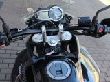 Triumph Tiger bei Reisemobile.expert - Abbildung (5 / 5)