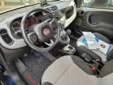 Fiat Panda bei Reisemobile.expert - Abbildung (10 / 15)