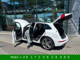 Audi SQ5 bei Reisemobile.expert - Abbildung (4 / 15)