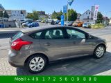 Ford Focus bei Reisemobile.expert - Abbildung (15 / 15)