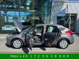 Ford Focus bei Reisemobile.expert - Abbildung (4 / 15)