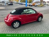 VW New Beetle bei Reisemobile.expert - Abbildung (11 / 15)