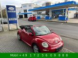 VW New Beetle bei Reisemobile.expert - Abbildung (2 / 15)