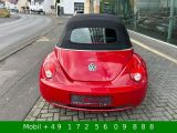 VW New Beetle bei Reisemobile.expert - Abbildung (13 / 15)