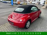 VW New Beetle bei Reisemobile.expert - Abbildung (12 / 15)