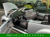 VW New Beetle bei Reisemobile.expert - Abbildung (7 / 15)