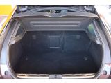 Citroen DS5 bei Reisemobile.expert - Abbildung (14 / 15)