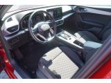 Seat Leon bei Reisemobile.expert - Abbildung (14 / 15)