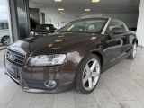 Audi A5 Cabriolet bei Reisemobile.expert - Abbildung (5 / 15)