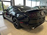 Ford Mustang bei Reisemobile.expert - Abbildung (7 / 12)