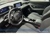 Peugeot 2008 bei Reisemobile.expert - Abbildung (13 / 15)