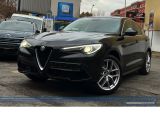 Alfa Romeo Stelvio bei Reisemobile.expert - Abbildung (4 / 15)