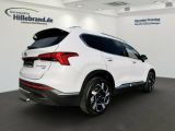 Hyundai Santa Fe bei Reisemobile.expert - Abbildung (4 / 15)