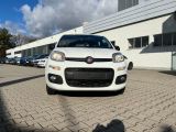 Fiat Panda bei Reisemobile.expert - Abbildung (6 / 15)