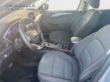 Ford Kuga bei Reisemobile.expert - Abbildung (8 / 15)