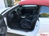 Audi A5 Cabriolet bei Reisemobile.expert - Abbildung (5 / 6)