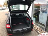 Skoda Fabia bei Reisemobile.expert - Abbildung (5 / 9)