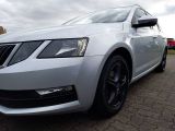 Skoda Octavia bei Reisemobile.expert - Abbildung (11 / 15)