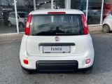 Fiat Panda bei Reisemobile.expert - Abbildung (8 / 15)