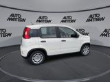 Fiat Panda bei Reisemobile.expert - Abbildung (8 / 15)