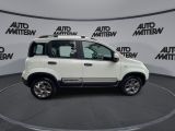 Fiat Panda bei Reisemobile.expert - Abbildung (7 / 15)