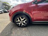 Kia Sportage bei Reisemobile.expert - Abbildung (10 / 15)