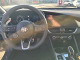 Alfa Romeo Giulia bei Reisemobile.expert - Abbildung (9 / 13)