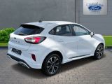 Ford Puma bei Reisemobile.expert - Abbildung (4 / 14)