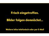 Fiat 500X bei Reisemobile.expert - Abbildung (8 / 9)