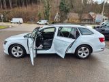 Skoda Superb bei Reisemobile.expert - Abbildung (6 / 15)