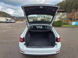 Skoda Superb bei Reisemobile.expert - Abbildung (11 / 15)