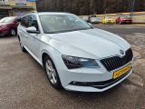 Skoda Superb bei Reisemobile.expert - Abbildung (3 / 15)