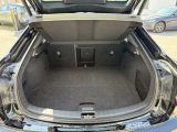 Polestar 2 bei Reisemobile.expert - Abbildung (14 / 15)