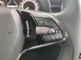 Skoda Kamiq bei Reisemobile.expert - Abbildung (12 / 15)