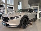 Mazda CX-30 bei Reisemobile.expert - Abbildung (2 / 15)
