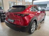 Mazda CX-30 bei Reisemobile.expert - Abbildung (4 / 15)