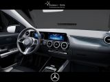 Mercedes-Benz B-Klasse bei Reisemobile.expert - Abbildung (15 / 15)