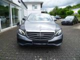 Mercedes-Benz E-Klasse bei Reisemobile.expert - Abbildung (3 / 15)