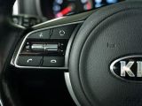 Kia Sportage bei Reisemobile.expert - Abbildung (5 / 15)