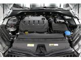 Skoda Octavia bei Reisemobile.expert - Abbildung (10 / 12)