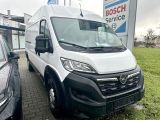 Opel Movano bei Reisemobile.expert - Abbildung (5 / 15)