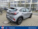 Ford Puma bei Reisemobile.expert - Abbildung (10 / 15)